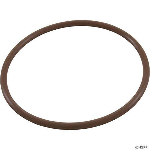 CMP Pool Strainer Cover O-ring Replacement, O-128